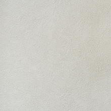 Alessandro Allori Bodega 2404-8 RTE