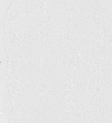 Обои Bernardo Bartalucci Gaga  84284-15