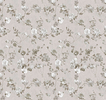 Loymina Etude vol. II ETD16 001