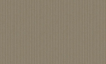 Bruno Zoff Platinum 60101-5