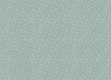 Rasch Novella 983159