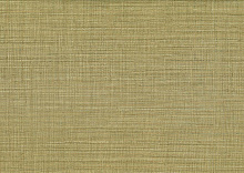 Оливковые обои для стен AltaGamma Fibers 1VZ 25875
